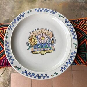Vintage‎ Gibson Daisy "Sunshine Seed" Dinner Plate 10.5" Floral Farmhouse